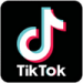 Tik Tok Logo 100.100